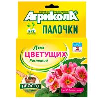 Без имени