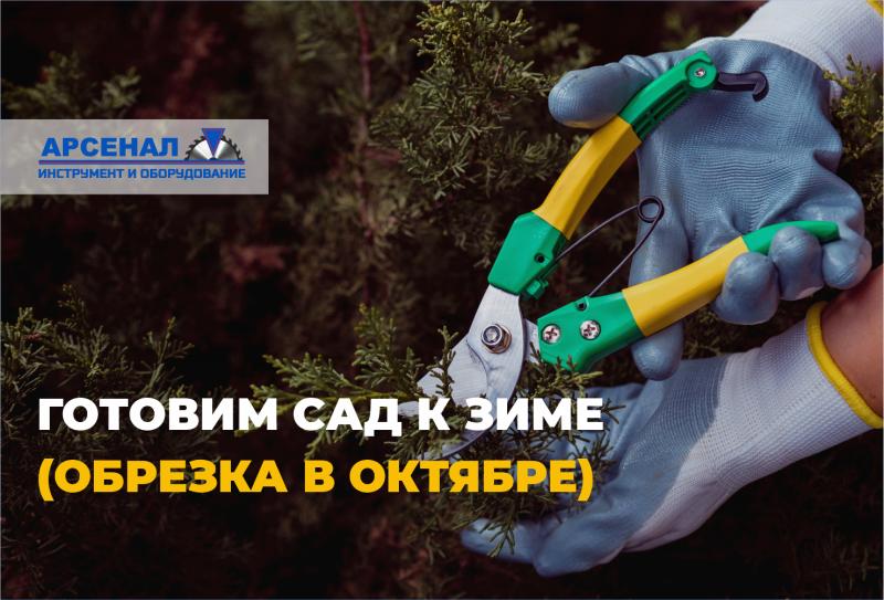 Октябрьская обрезка: что нужно успеть до морозов