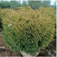 f7888f5f-20e5-4c97-a3b8-663ce6c8b0a0