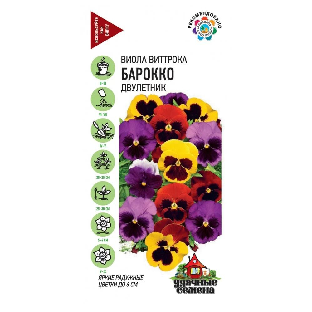 Семена Виолы Купить В Интернет Магазине