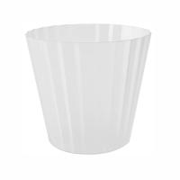 кашпопопопопопобелоеое