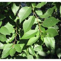 b0eeb17d6e94c725100c8d35d4b4f01e