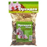 орхидееееяяя