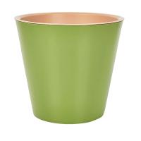 оливокваоекашпоо