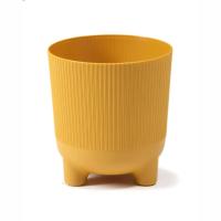 кашпогорчичный