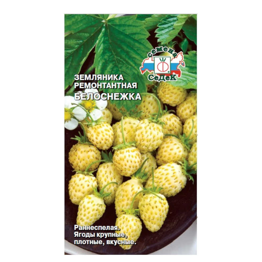 Безусая Земляника Купить Семена