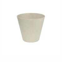 кашшпопопо