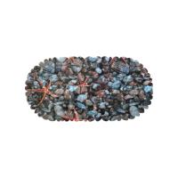 коврикморскаязвезда