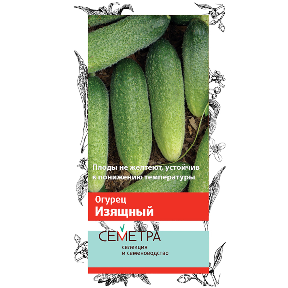 Огурец Изящный (Семетра) 0,5гр.