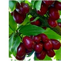 dc9b7d6c8b5d90eb173a979e4664692e