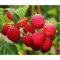 7f9d264ac72fa499382e20db28e1a1a0