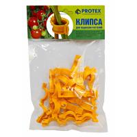 протекккссссс