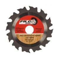 дискпильный