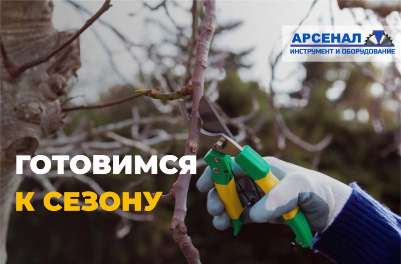 Что обрезать на даче в апреле: подробная памятка по весенней обрезке растений