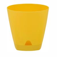 спелаягруша