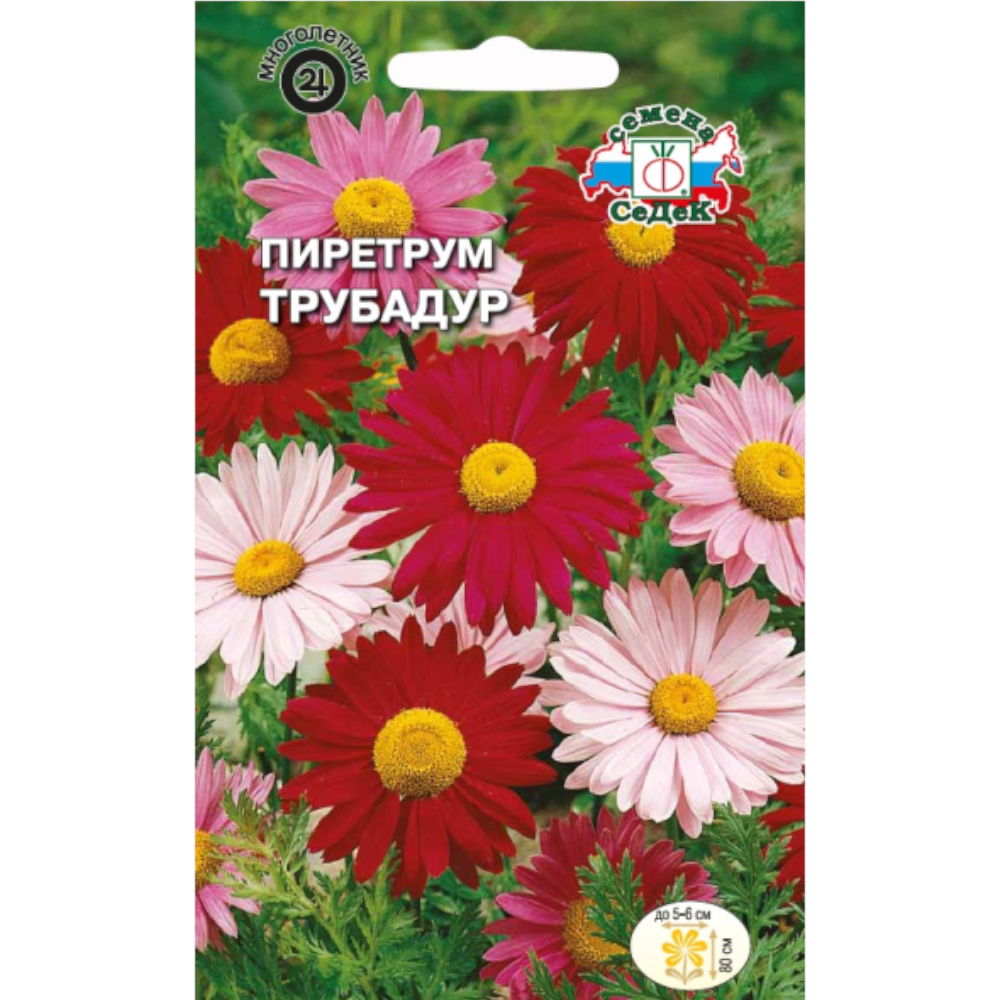 Купить Семена Пиретрума В Интернет Магазине