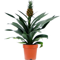 HK-19-GF-768x768-PhotoRoom-PhotoRoom