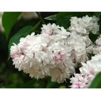 74b399224283092268427e56bb0cf6c6