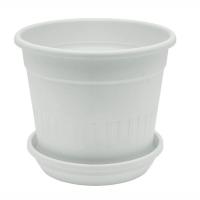 белылылылй