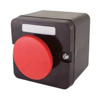 красныйгрибб