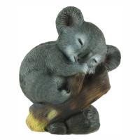 коаласпящая