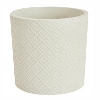 белыйротангкашпо