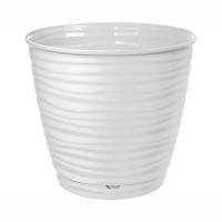 гоооорршшшок