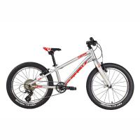 влосипппеед