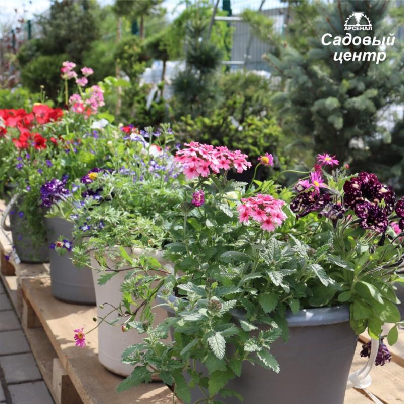 Лето на подходе 