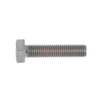 болтарсенааал