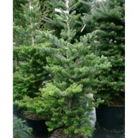 4d85d744_5860_11e4_becd_7446a074e3ce_4d85d745_5860_11e4_becd_7446a074e3ce.resize1