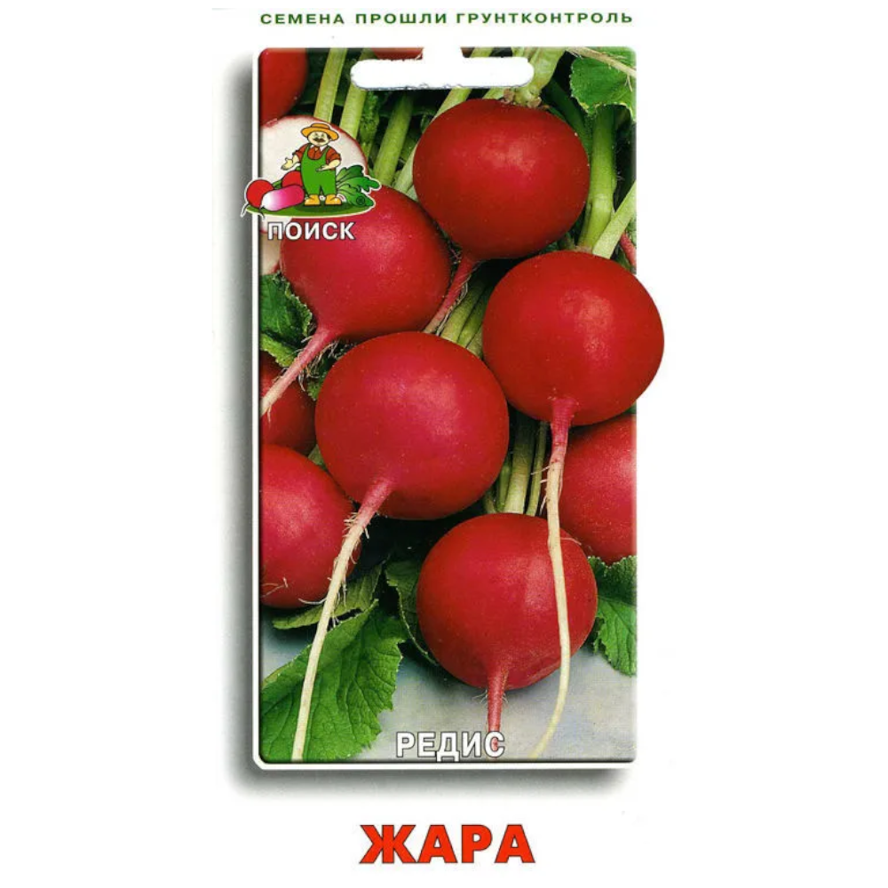 Редис Жара Описание Сорта Фото