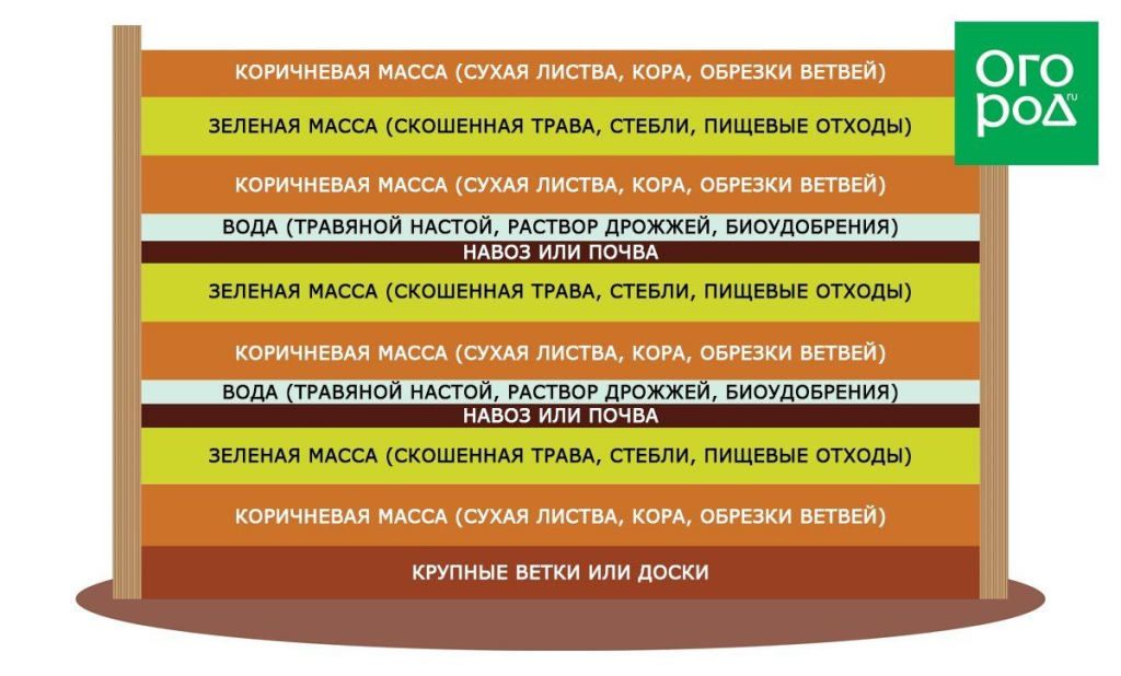 scale_2400 (2).png