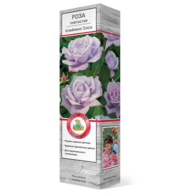 Роза плетистая Клайминг Си-си/ЦКор