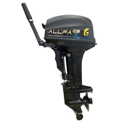 Мотор лодочный T9.9 BS MAX синий