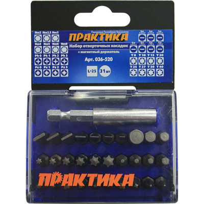 Набор бит ПРАКТИКА "Профи" 31шт PH 4шт PZ 4шт Torx 8шт LS 7шт HEX 7шт x 25мм м/д, кассета