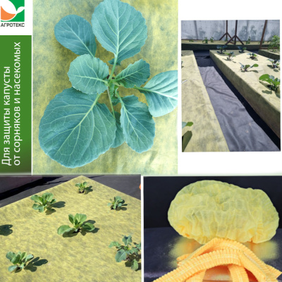 Комплект для КАПУСТЫ (желто-черный 80-1,06 -6м + шапочка желтая -10шт)