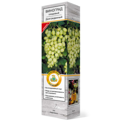 Виноград плодовый Долгожданный/ЦКор