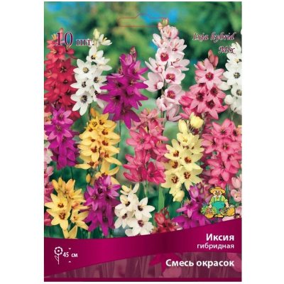 Иксия гибридная смесь окрасок/К 10шт