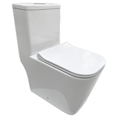 Унитаз напольный моноблок Triton-Pro MONO MO-8706, сиденье, фурнитура