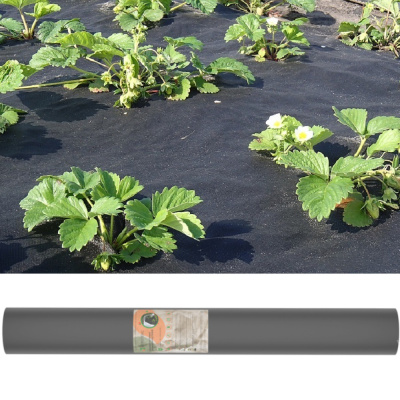 Агротекс 60 "UV"- чёрный  3,2*200м (св 1,6м)