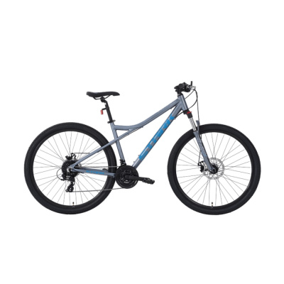 Велосипед Stark'25 Slash 29.1 D серебристый металлик/синий L/20"