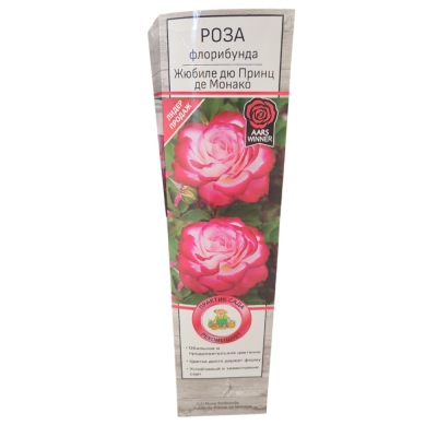 Роза флорибунда Жюбиле дю Принц де Монако (Жюбиле де Санкт-Петербург)/ЦКор