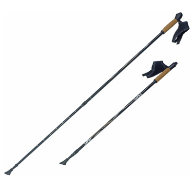 Палки для скандинавской ходьбы NWS-111