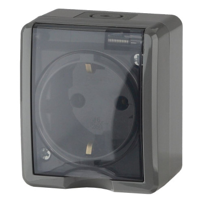 Розетка 2P+E IP54, 16A-250В, ОУ, Эра Эксперт, серый, 11-2401-03 (1/8) (10702070/201020/0257277/4