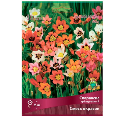 Спараксис трёхцветный смесь окрасок/К 10шт