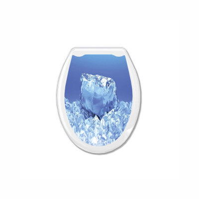 Сиденье для унитаза "Универсал Декор" Кристалл/Лед Европласт