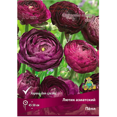 Лютик азиатский Пёпл 7-8/К 10шт