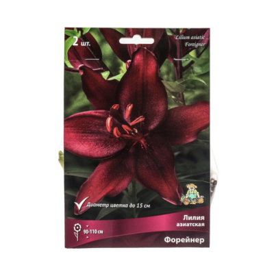 Лилия азиатская Форейнер 14-16/К 2шт