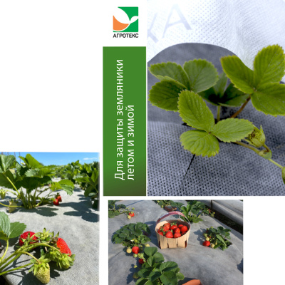 Комплект для ЗЕМЛЯНИКИ САДОВОЙ (бело-черный 80-1,06 -6м + белый 60-1,6- 7м)